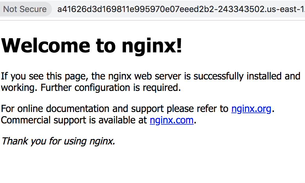 nginx index